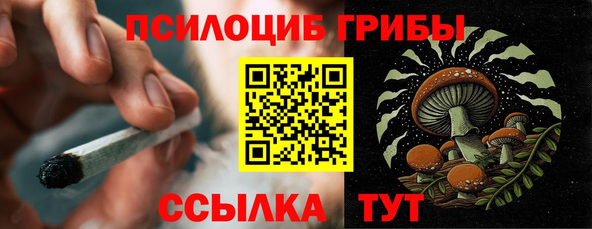 Псилоцибиновые грибы GOLDEN TEACHER Домодедово